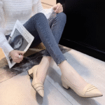 2025 Spring and Autumn new thick heel pointed toe shoes