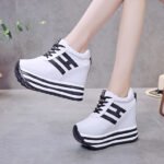 Women’s chunky sneakers, trendy platform sneakers for spring and autumn, 2025, super popular canvas shoes, versatile and with hidden heel lift.